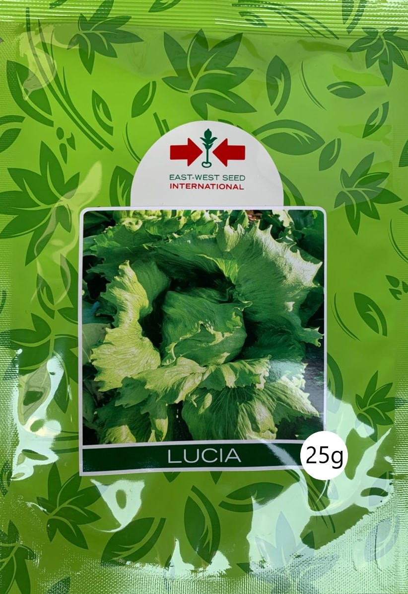 SEMILLA LECHUGA LUCIA (25 GR)     (E)