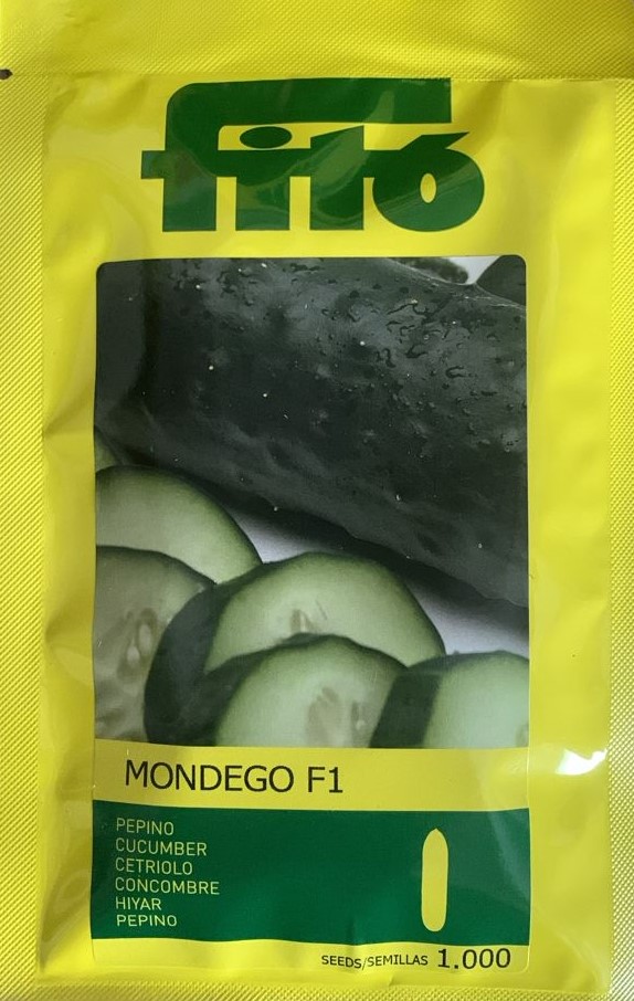 PEPINO MONDEGO F1 (1.000 SEMILLAS) (E)