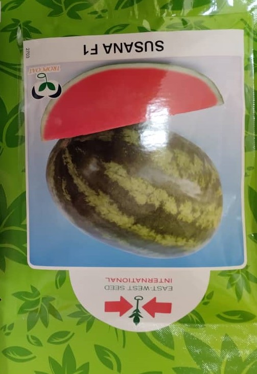 PATILLA SUSANA F1 (1.000 SEMILLAS) (E)