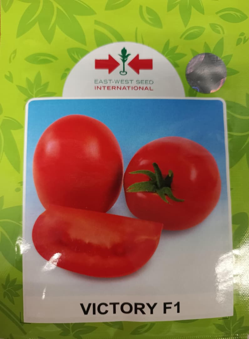 TOMATE VICTORY F1 (1.000 SEMILLAS) (E)